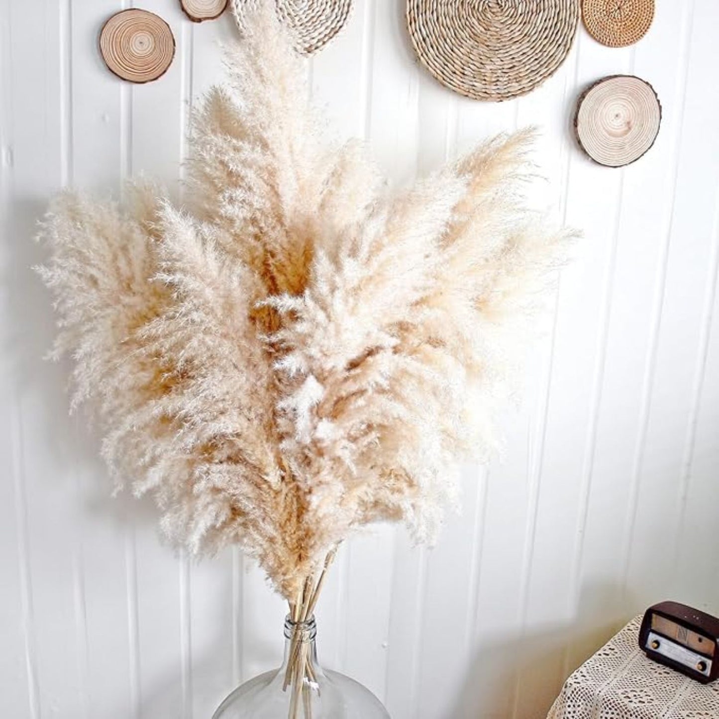 Ramo 10 Pampas Secas Decorativas XL