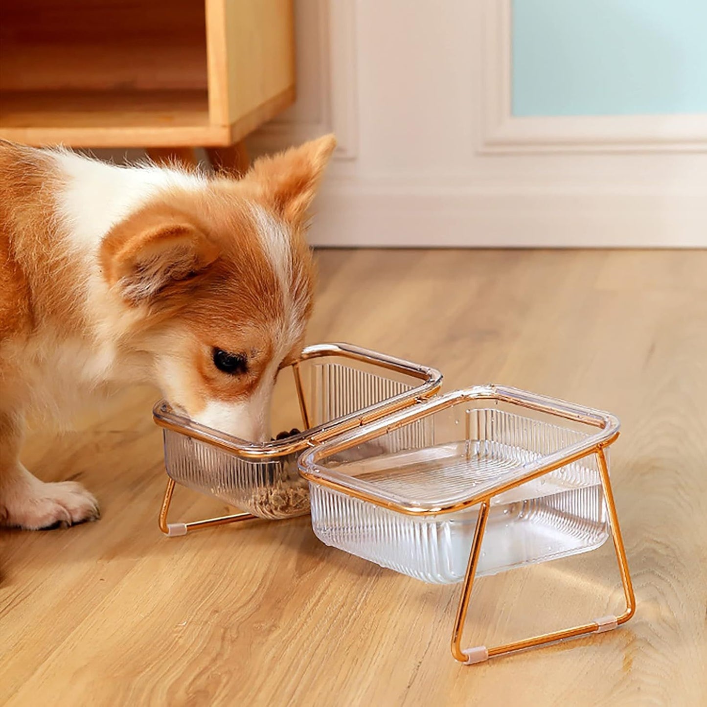 PREVENTA - Plato para Mascotas Elevado