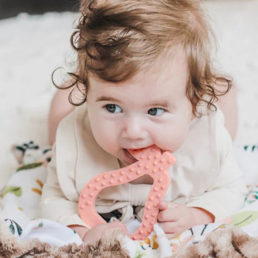 Mordedor Silicona con Texturas Fruta