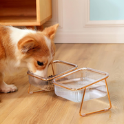 Plato para Mascotas Elevado Doble