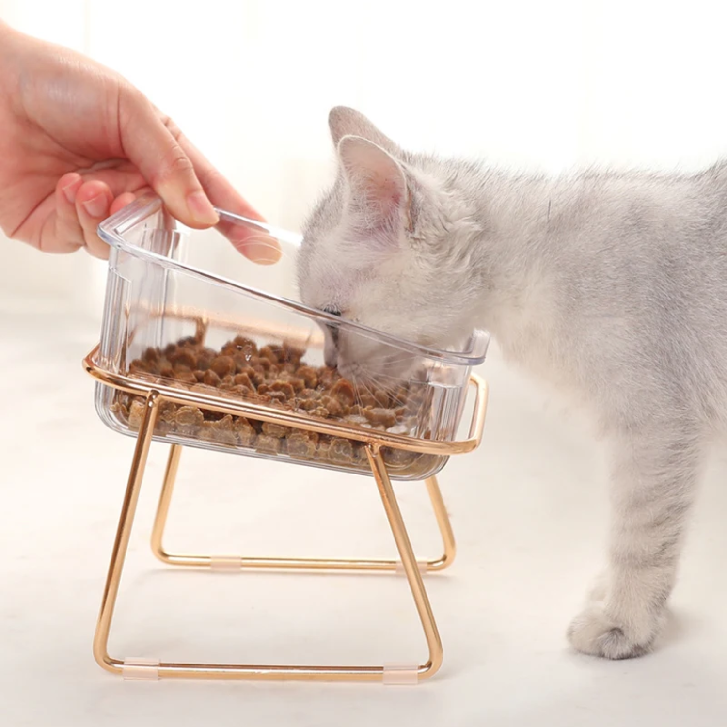 Plato para Mascotas Elevado Doble
