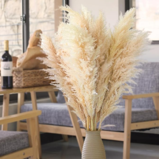 Ramo 10 Pampas Secas Decorativas XL