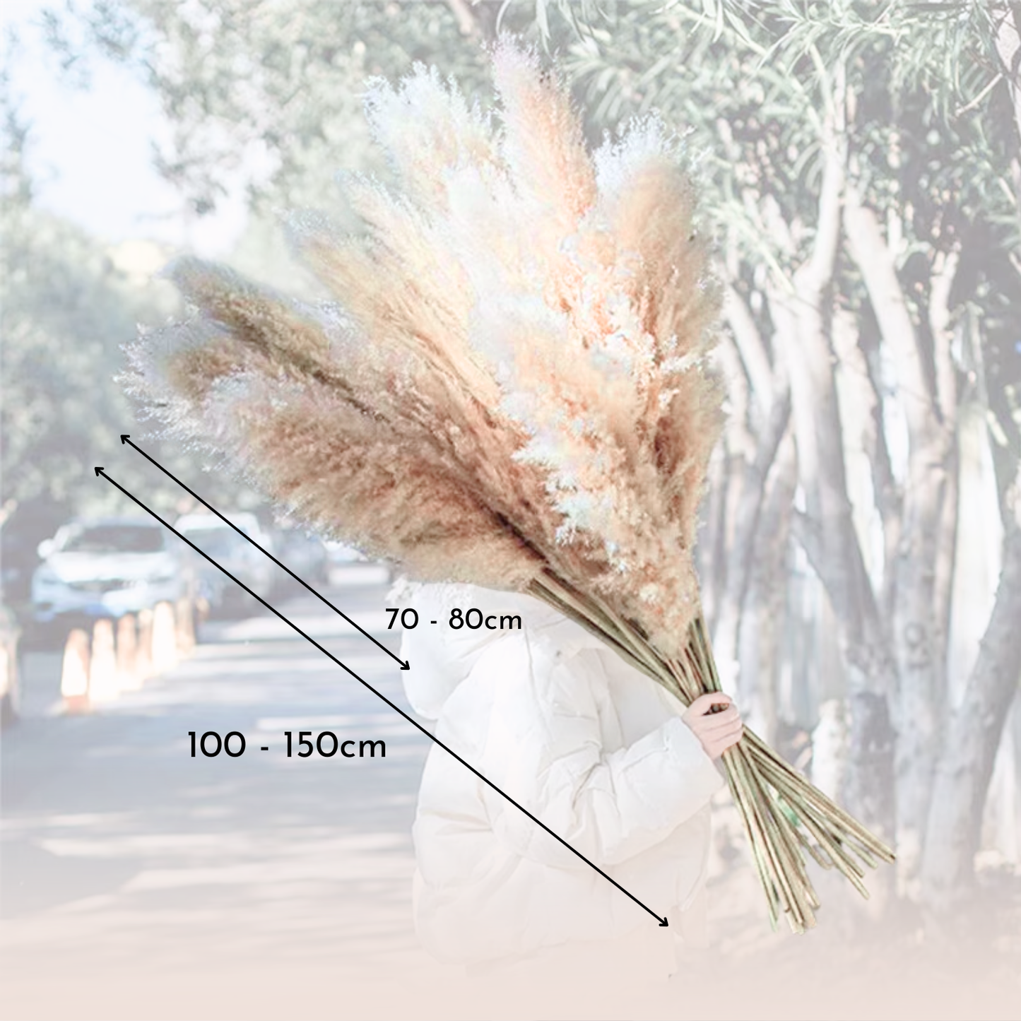 Ramo 10 Pampas Secas Decorativas XL