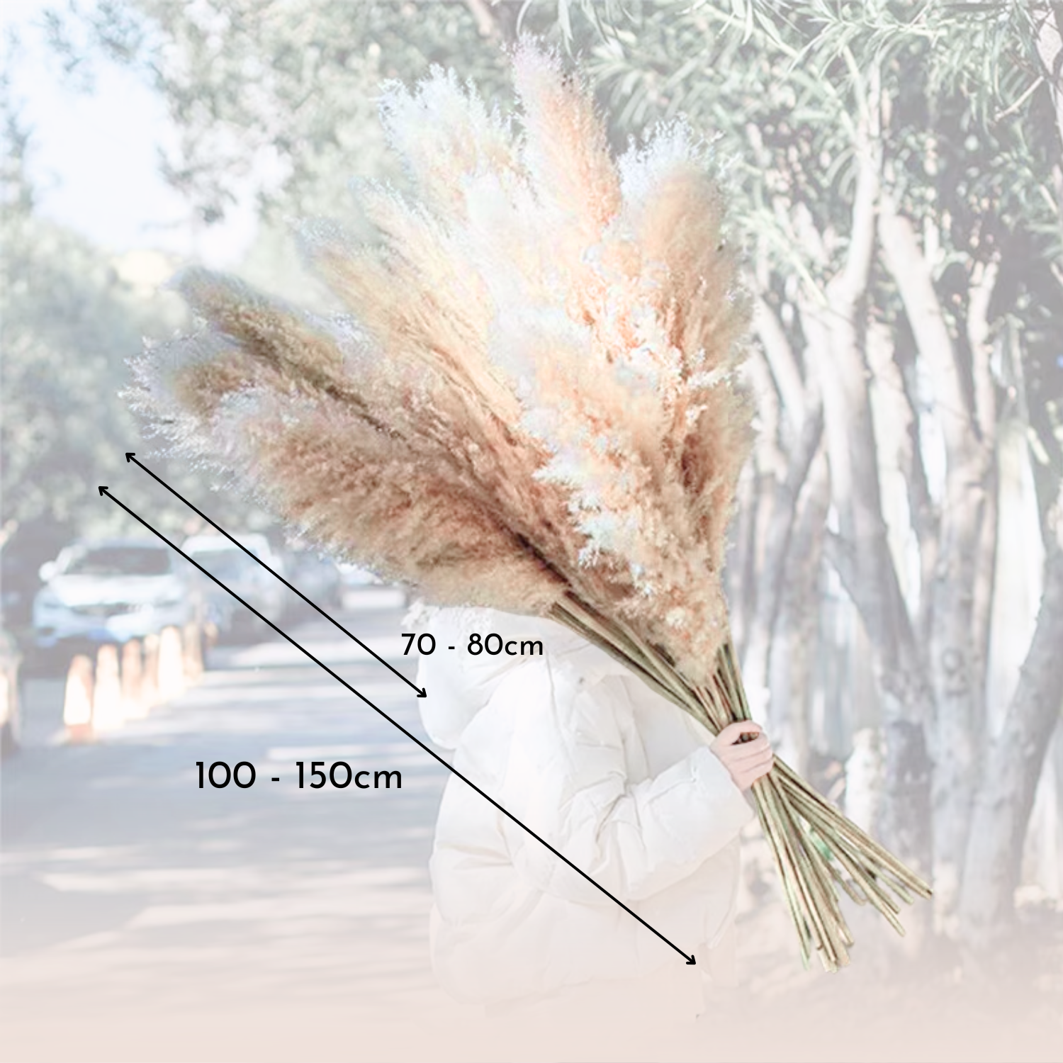 Ramo 10 Pampas Secas Decorativas XL
