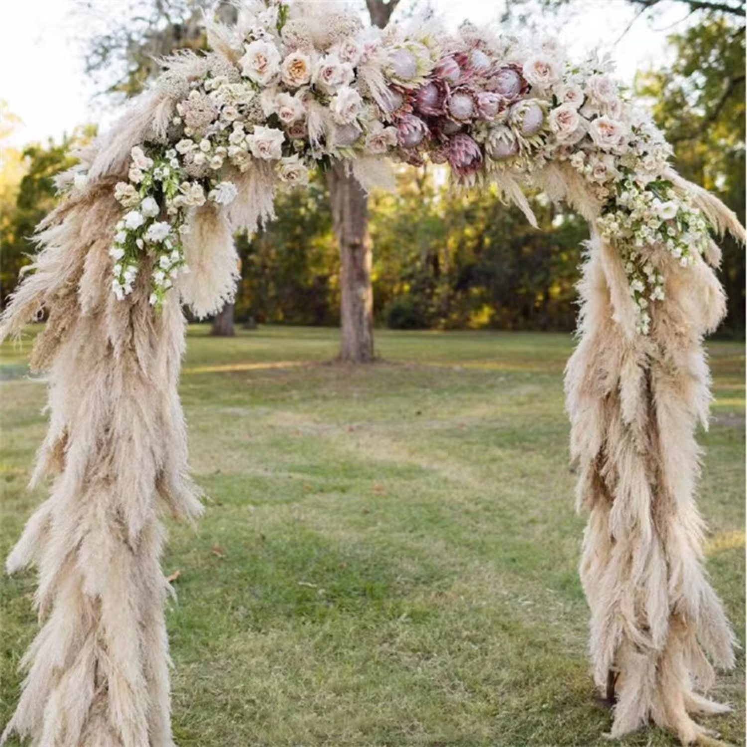 Ramo 10 Pampas Secas Decorativas XL