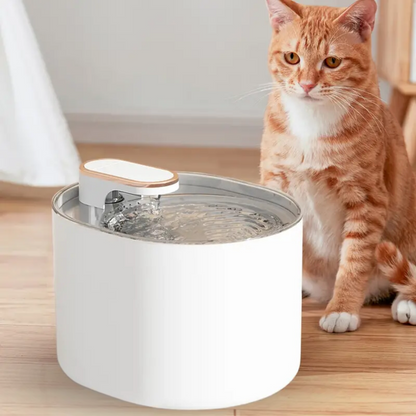 Pack 6 Repuestos de Filtro para Bebedero