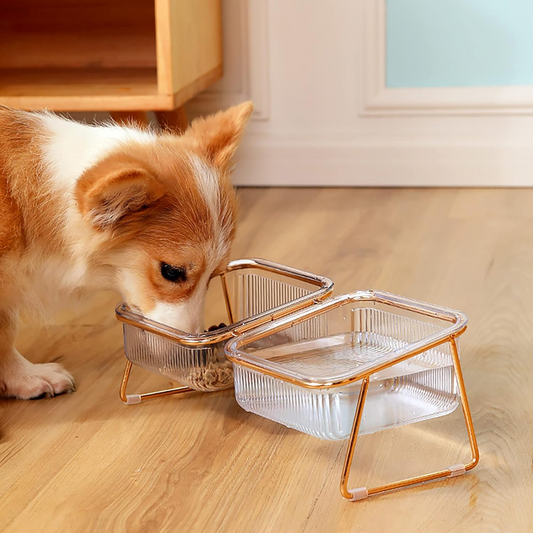 Plato para Mascotas Elevado