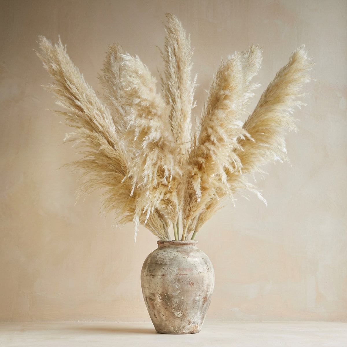 Ramo 10 Pampas Secas Decorativas XL